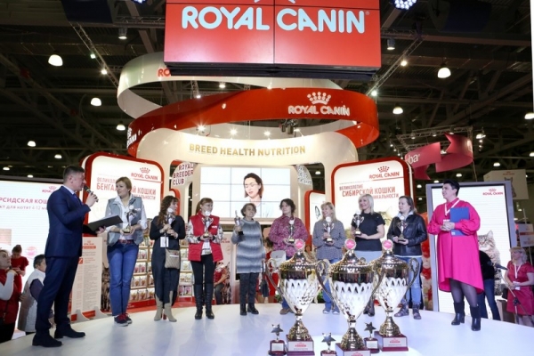 На выставке кошек «Гран-при Royal Canin 2017» представили самых красивых питомцев