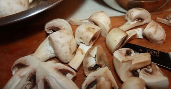 Рецепты приготовления грибов в сметане в мультиварке