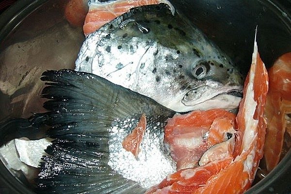 Как сварить ароматный рыбный суп из головы и хвоста
