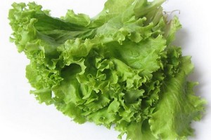 Как приготовить витаминный салат из свежей зелени