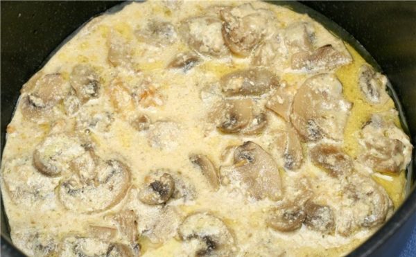 Рецепты приготовления грибов в сметане в мультиварке