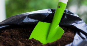 Скриншот 24-11-2025 203117