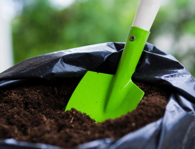 Скриншот 24-11-2025 203117